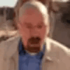 ::gifmemes1::