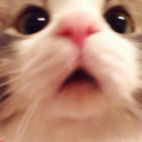 ::cattos92::