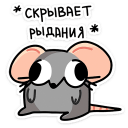 :chris24: