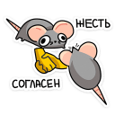 :chris3: