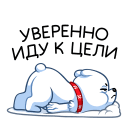 :polarmisha17: