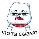 :polarmisha4: