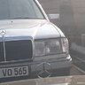 Forester_Bones